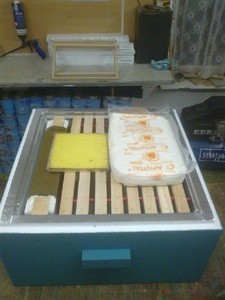 Nabízím k prodeji Vcelí úly.